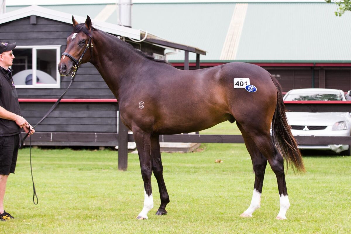 Te Akau's Terrific RTR Purchases