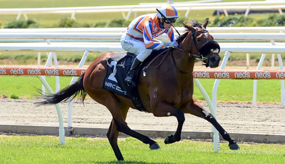Rubicon Crossing Cracking in Australian Debut