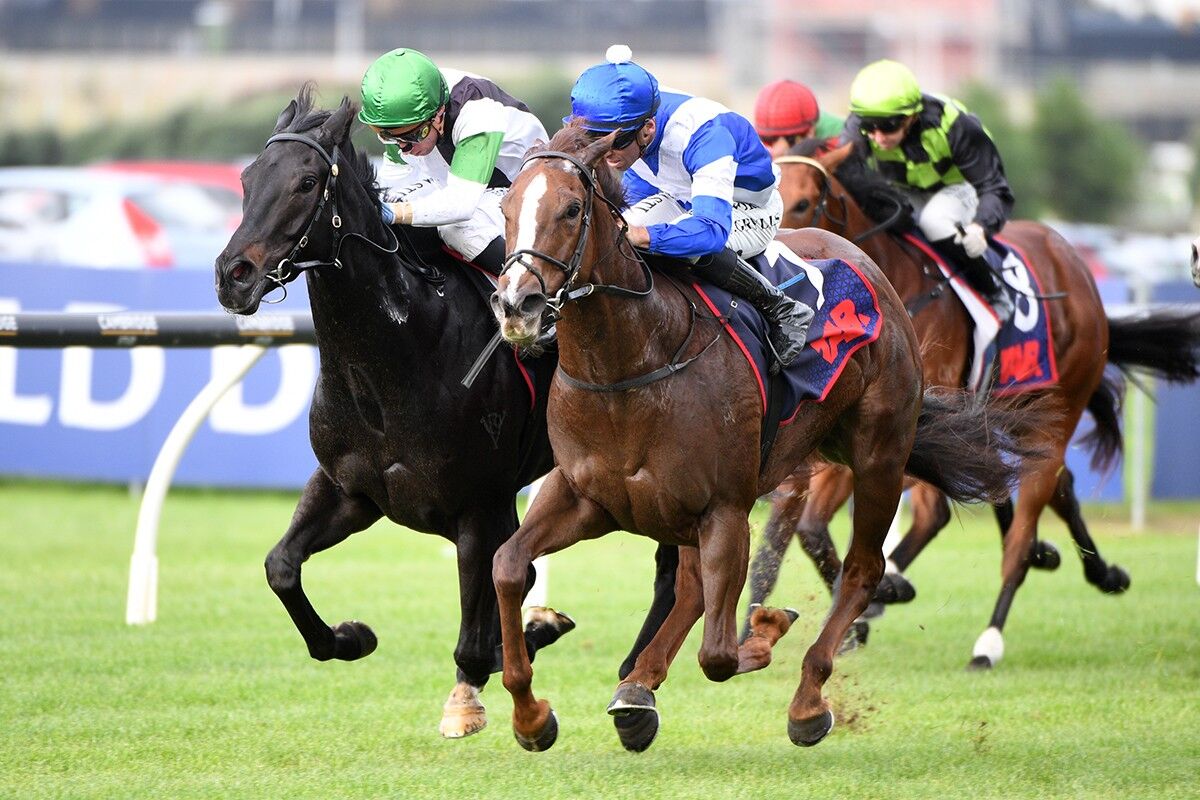 Winner: Sabatini Super on Debut
