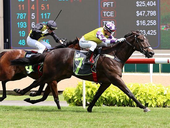 Sacred Croix has Derby in his Sights