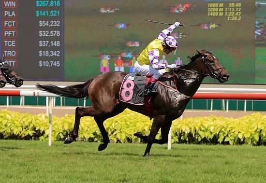 Te Akau Singapore's Mark Walker - 5 Weekend Winners