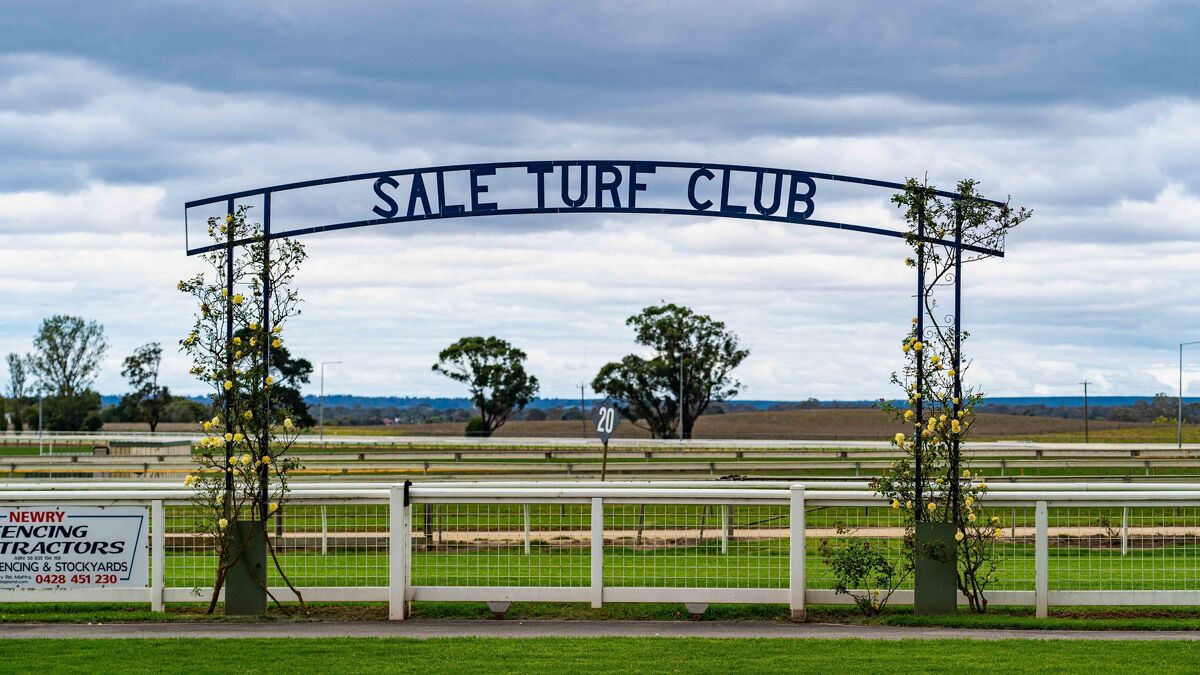 Te Akau Sale Tuesday Preview