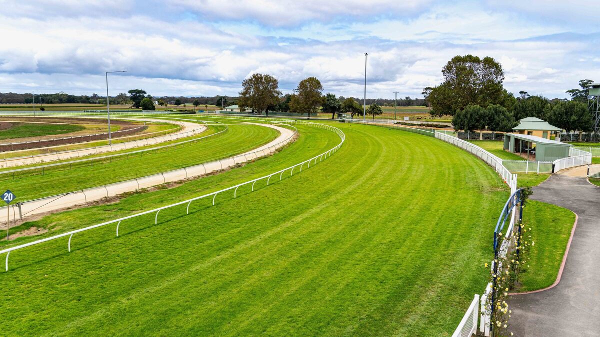 Te Akau Sale Tuesday Preview