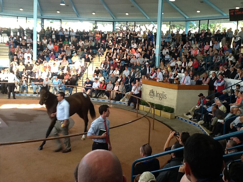 Sydney Easter Sale Very Strong