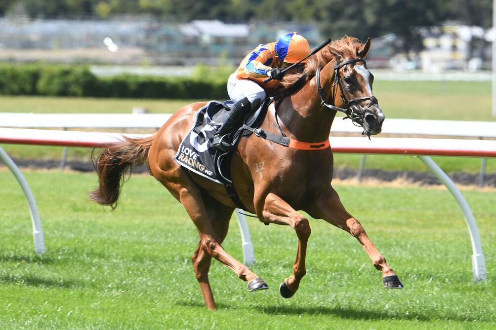 4 Win Saturday - Sans Doute Leaves No Doubt