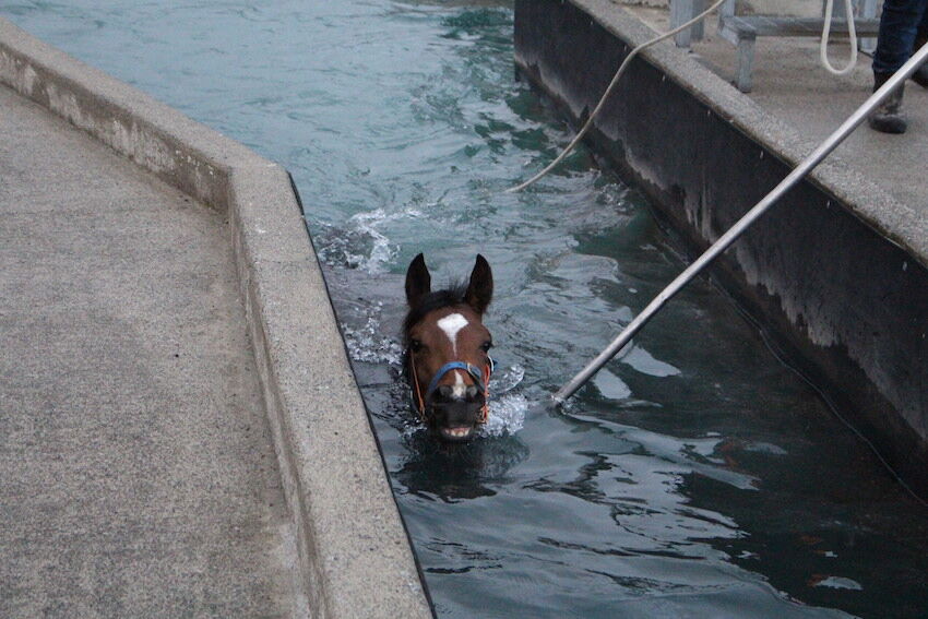 Te Akau Tuesday Trackwork