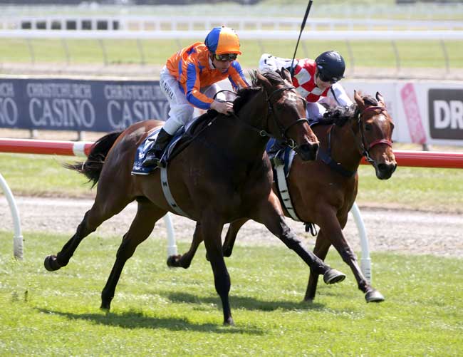 Sassy 'n' Smart Set for Stakes