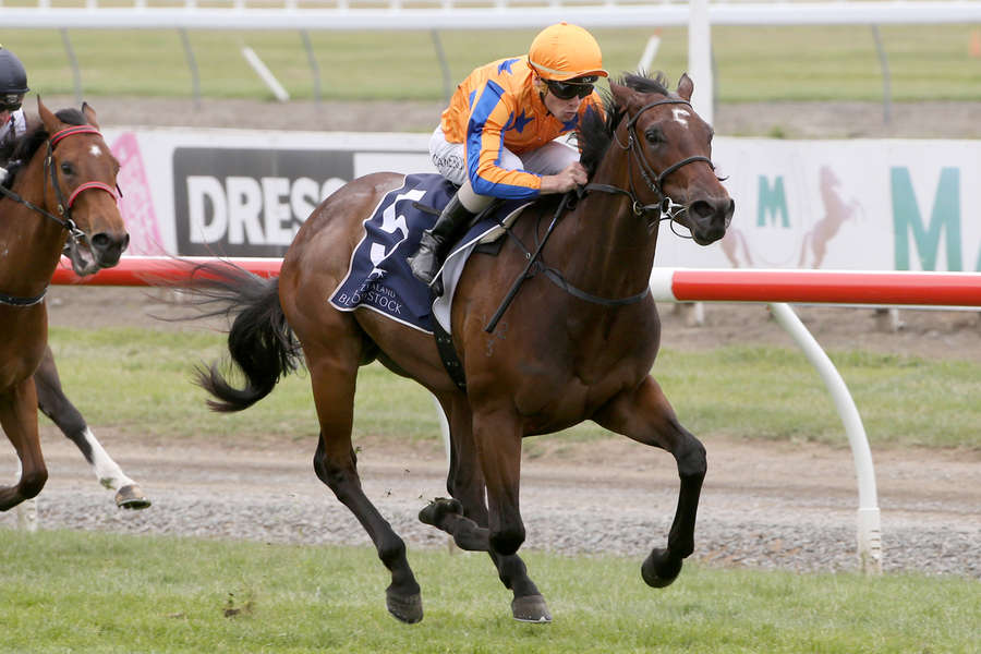 Classic Test Looms for Sassy