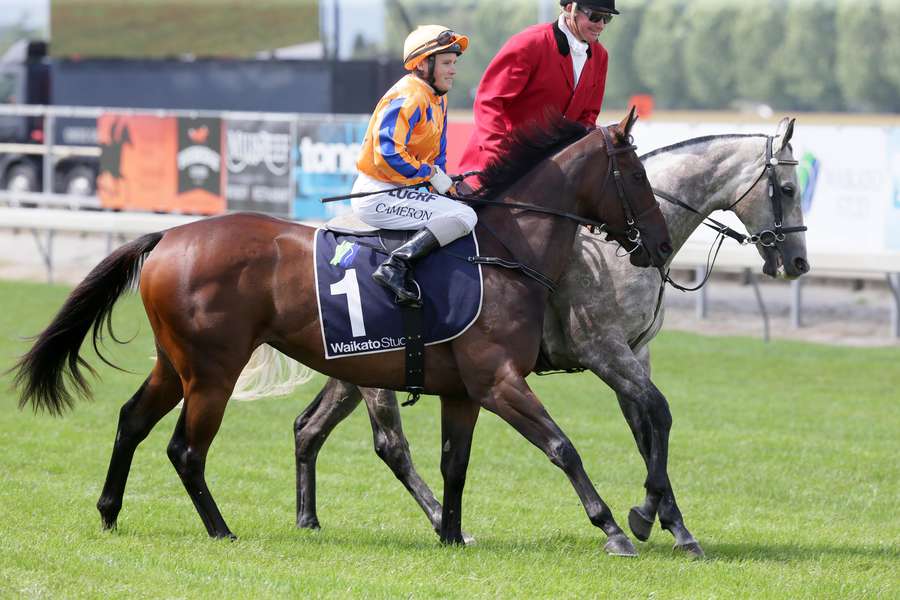 Te Akau Pair Ready to Fire