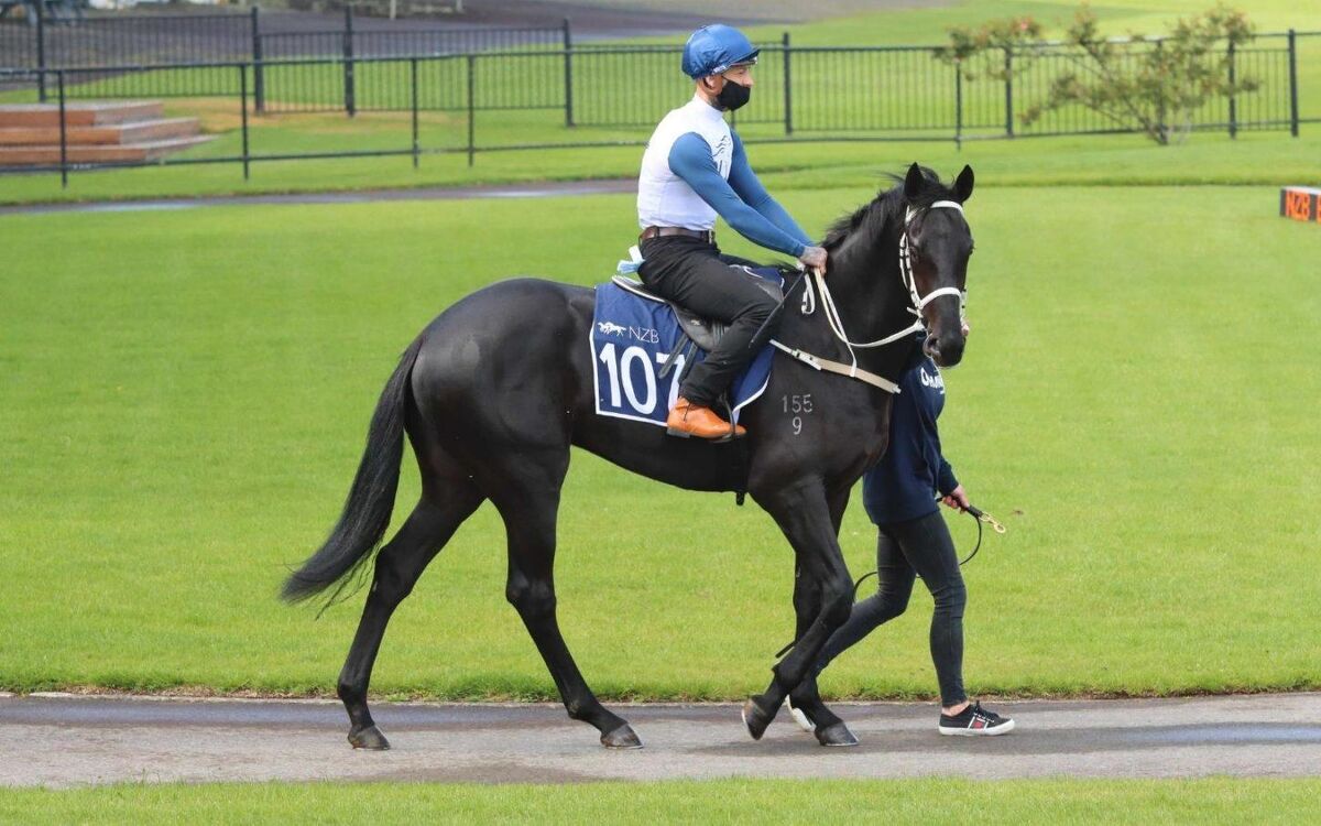 Rich Etiquette at Te Rapa