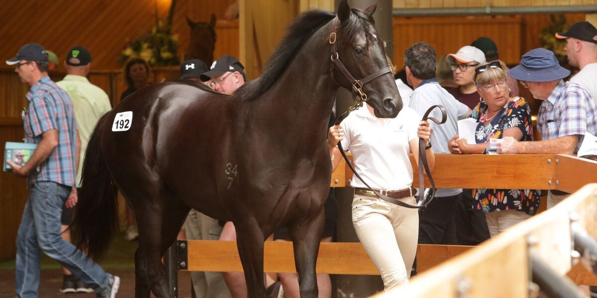 Karaka Stars in the Making - Episode 1