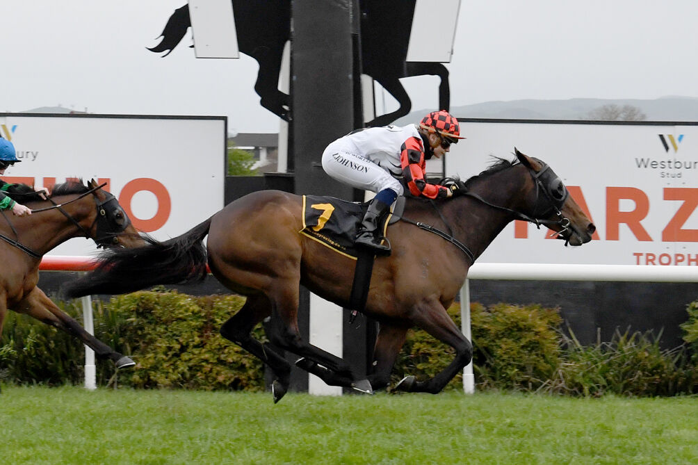 Te Akau TV Weekend Preview