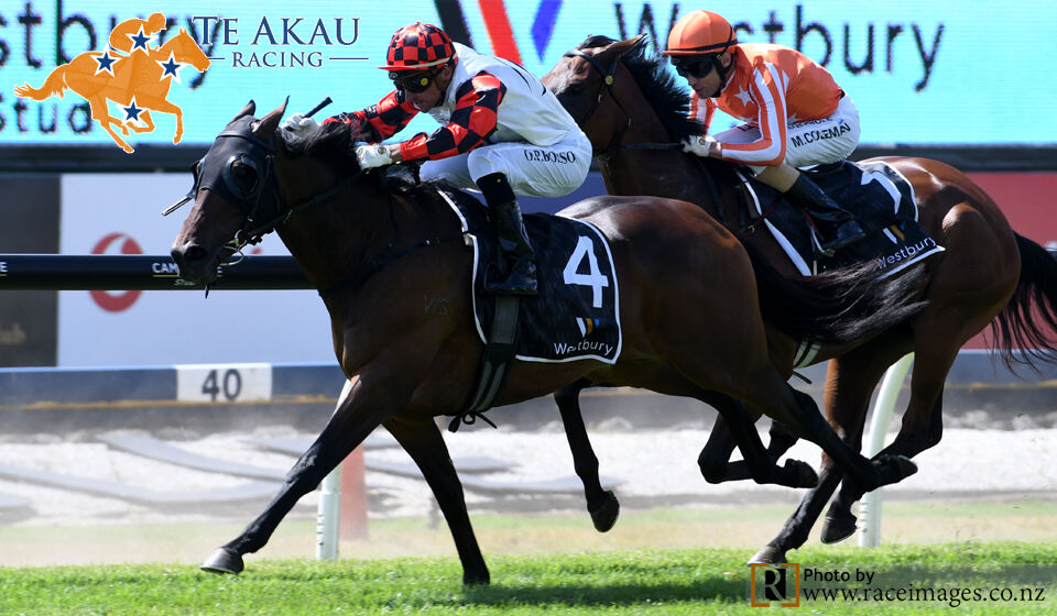Super Saturday - 4 NZ Wins
