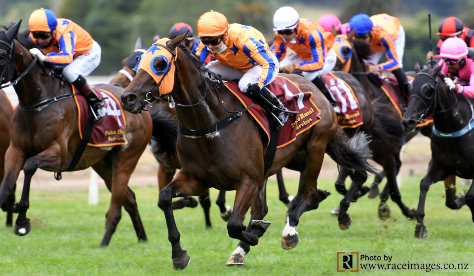 Te Aroha Winning Treble - Seajetz Flies Home