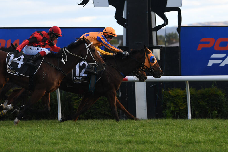 Secret Amour Saturday Win No.4