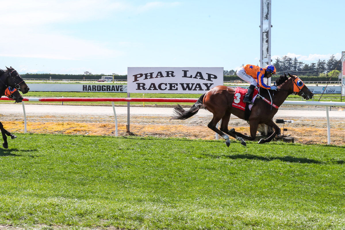 Win 2 Timaru - Secret Amour Awesome