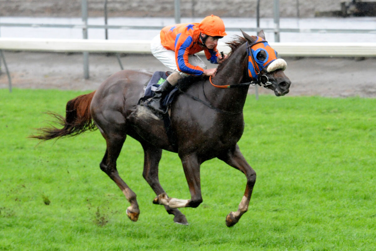 100th Winner for Matt