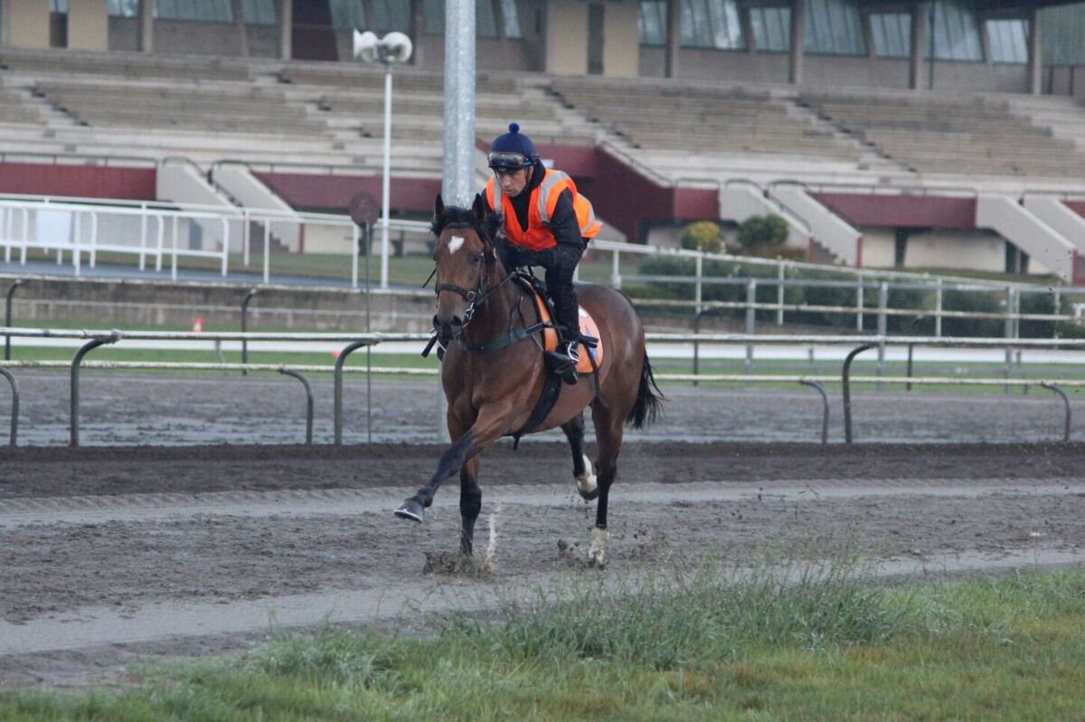 Te Akau Weekend Trackwork