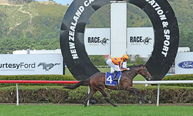 Season of Success: Seize Trans-Tasman G1 Honours