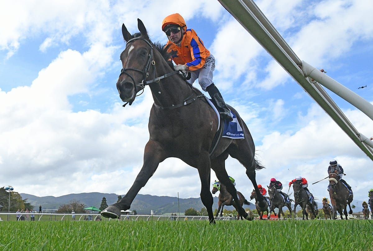 Te Akau Stars Step Into Spring at Caulfield