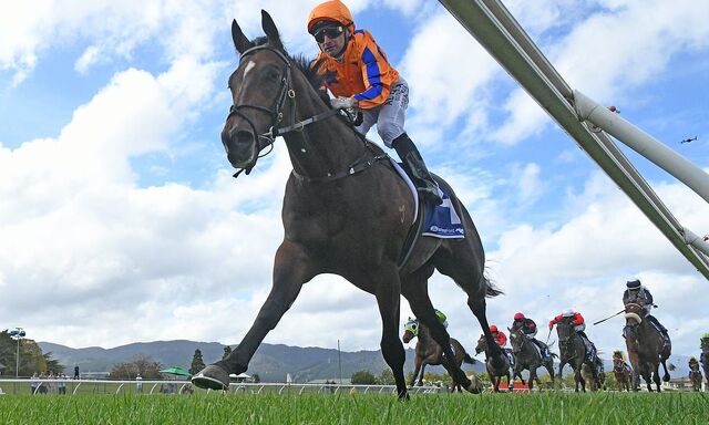 Te Akau Stars Step Into Spring at Caulfield