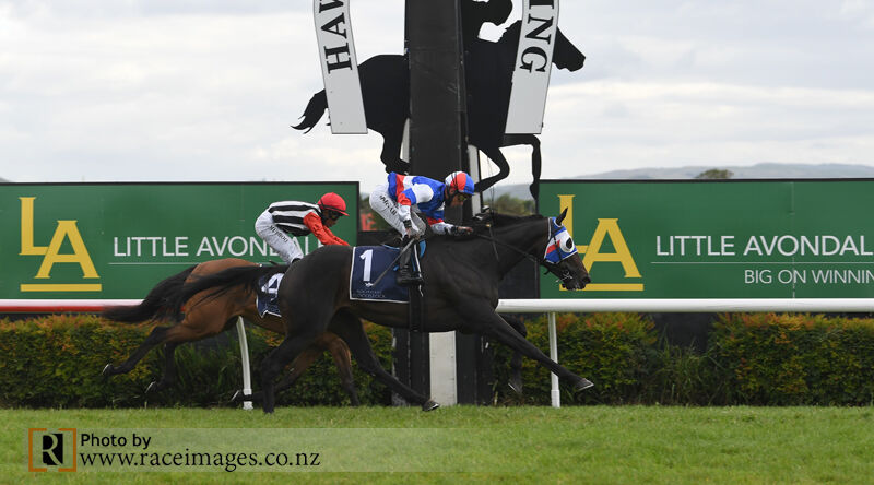 Group 2 Victory - 100 Season Wins - $5m Stakes Won