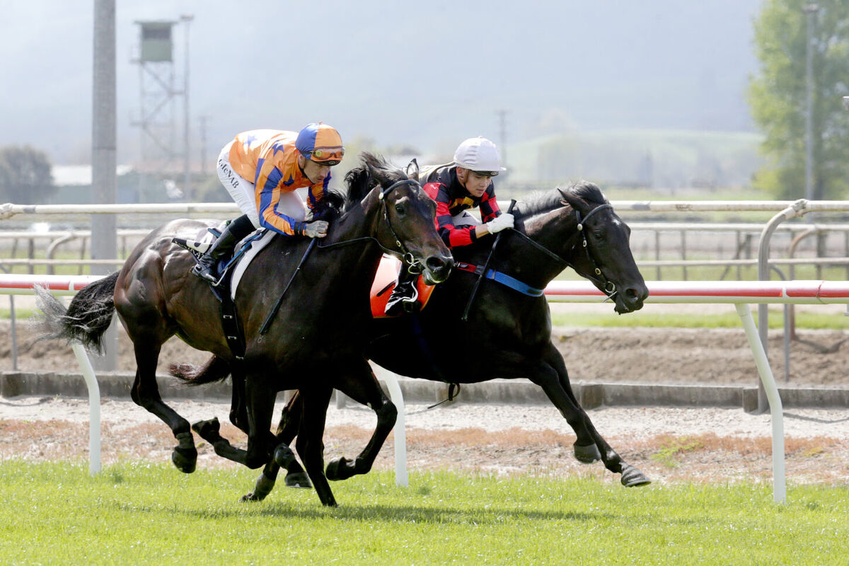 Group Girls Go Galloping
