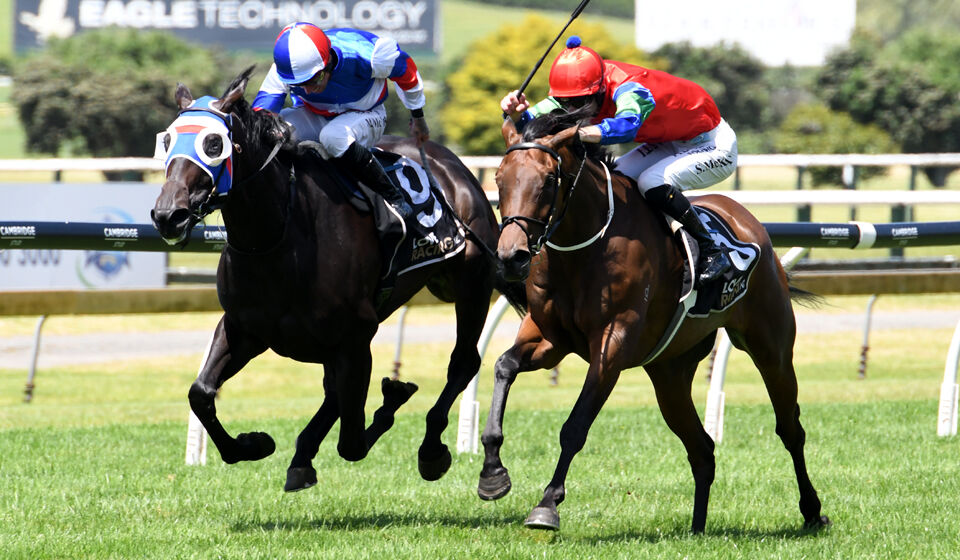 Self Obsession Outstanding in Grp 2 Royal Stakes