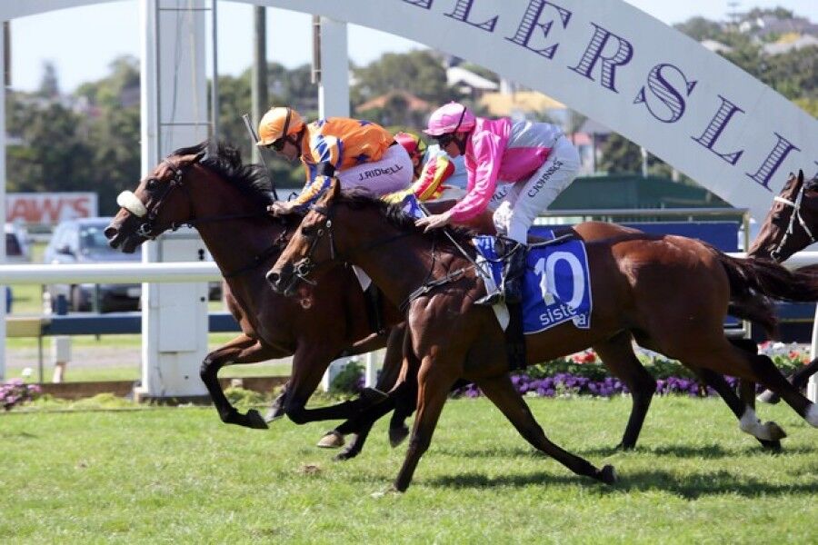 Heroic Valour to Stand in Queensland