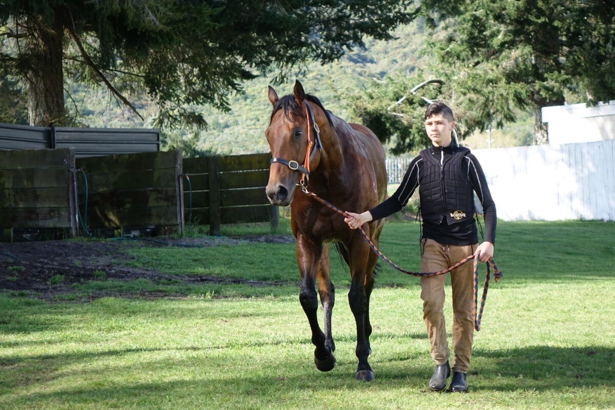 Te Akau Thursday Trackwork