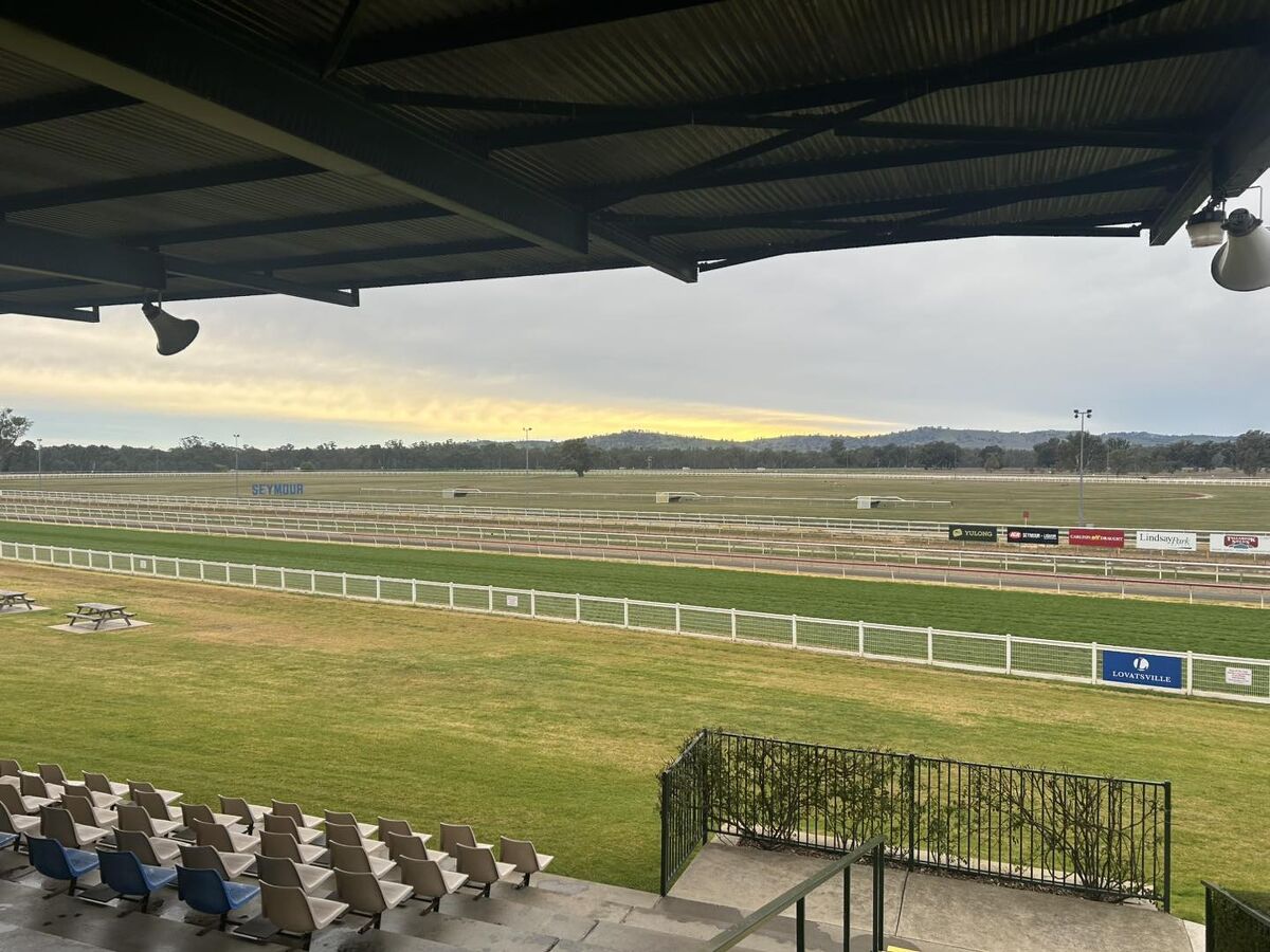 Te Akau Seymour Tuesday Preview