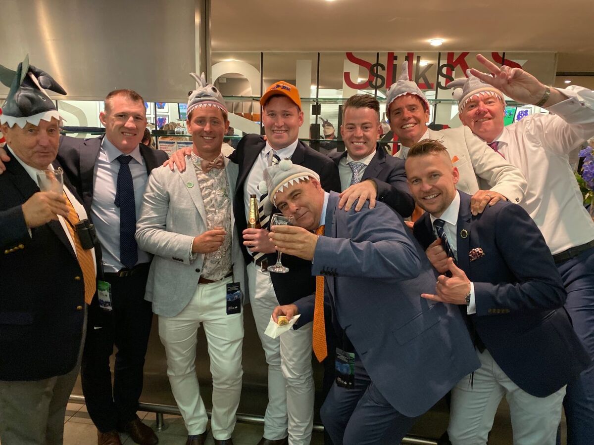 Te Akau Shark Huge in Cox Plate