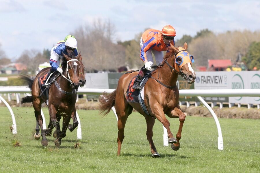 Te Akau Shark Scores for League Star