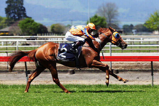 Te Akau Firepower out in force at Te Rapa
