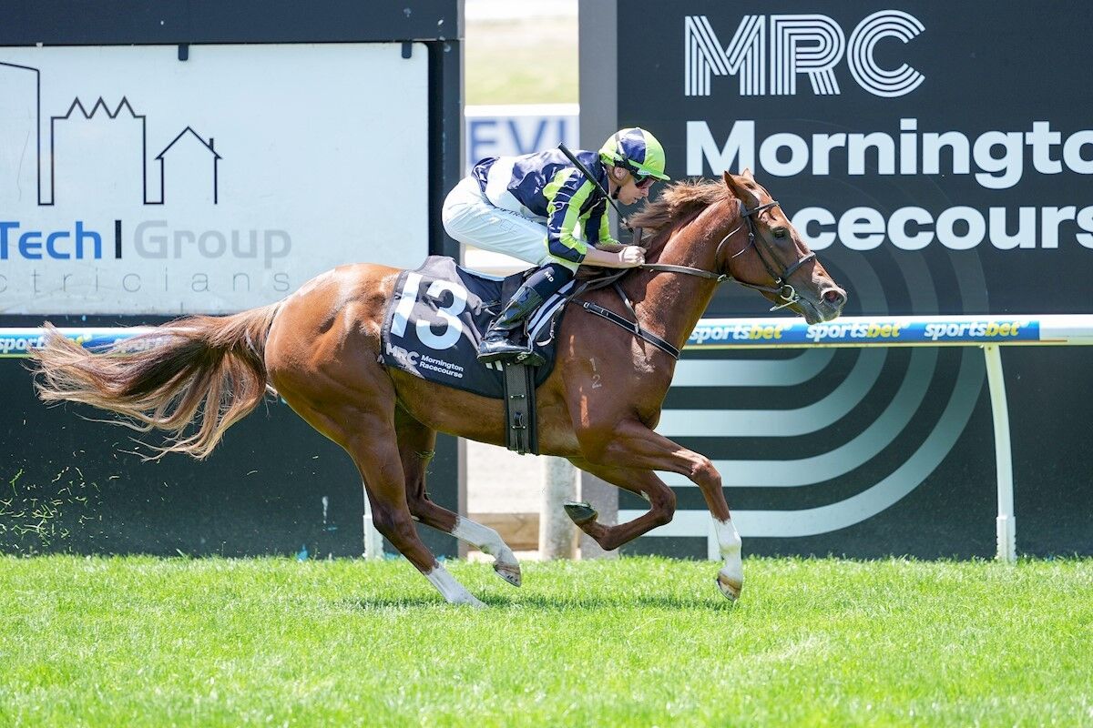 Te Akau Trans Tasman Friday Preview