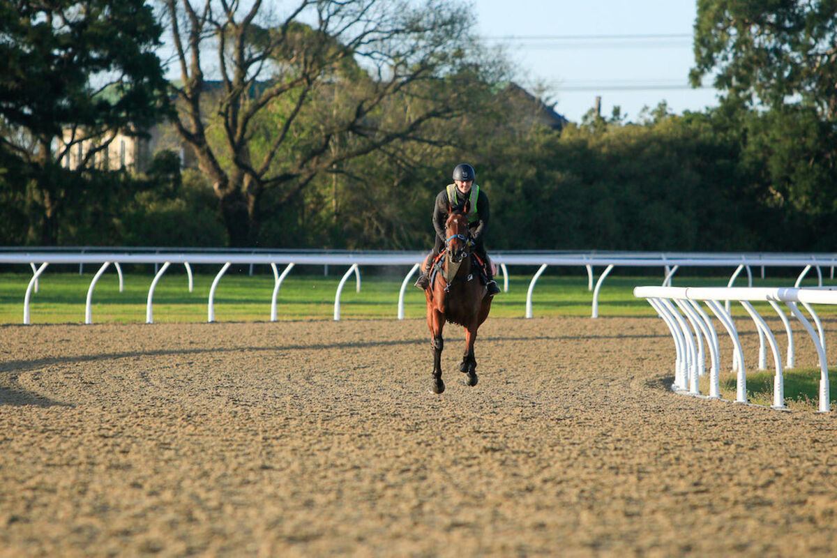 Te Akau TV - Weekend Preview