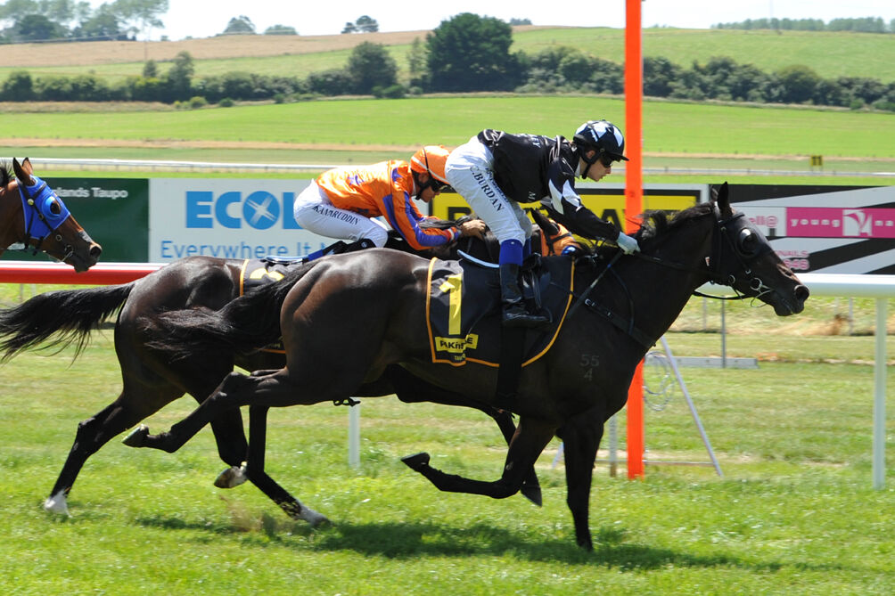 She's Not Bad - 3rd Taupo Winner
