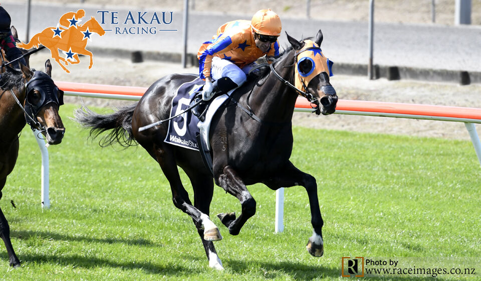 Matamata Winning Double - Shezathinka Strikes First