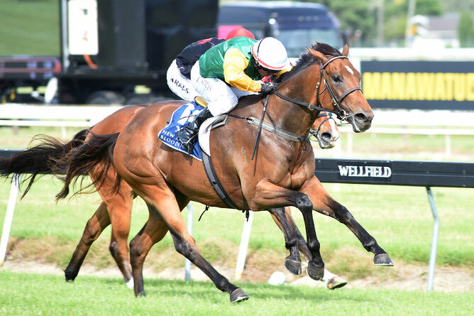 Australian Debut Looms for Shillelagh