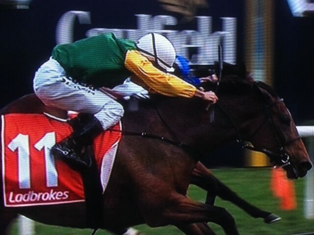 Te Akau's 3 Wins in 3 Countries in 17 hours