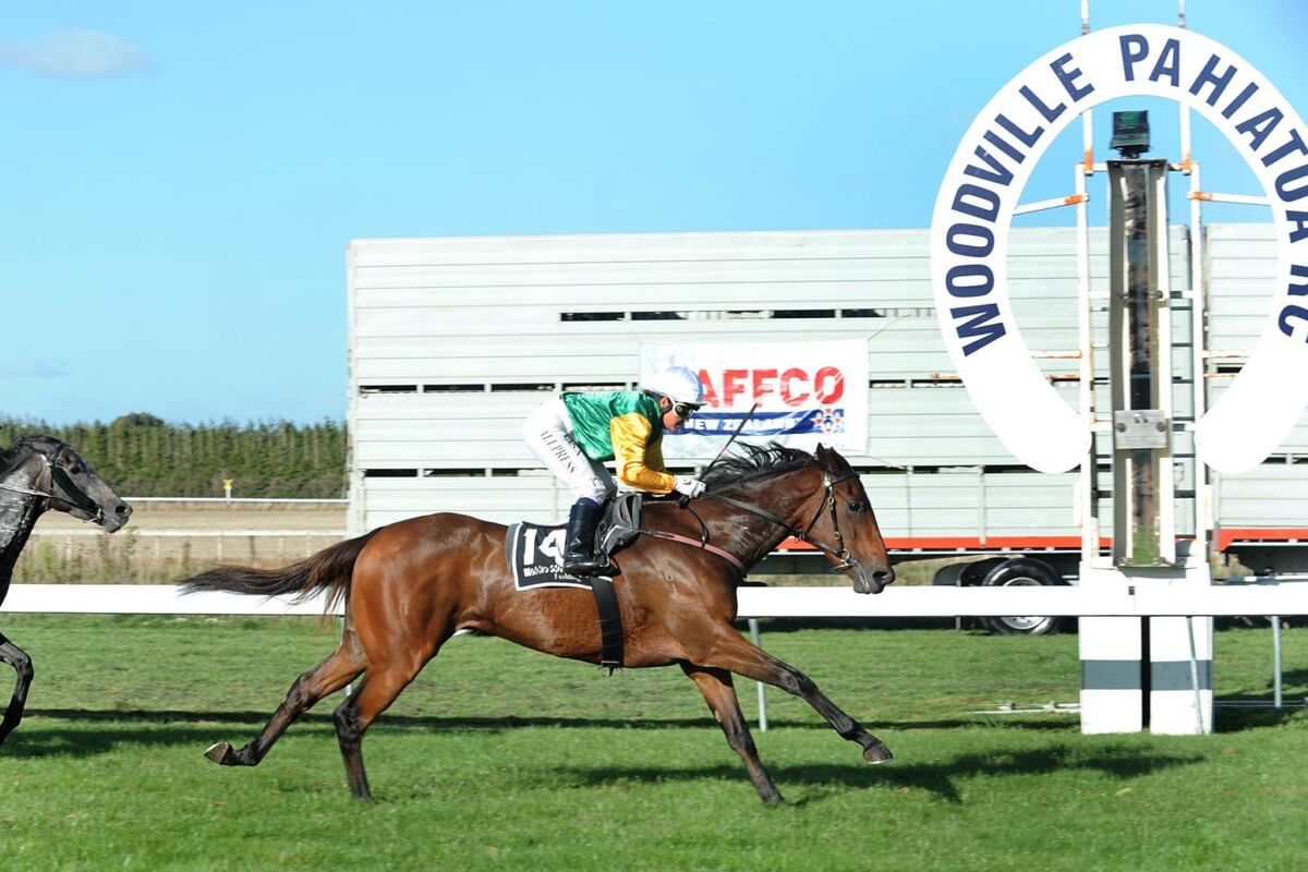 Two from Two - Shillelagh Shines