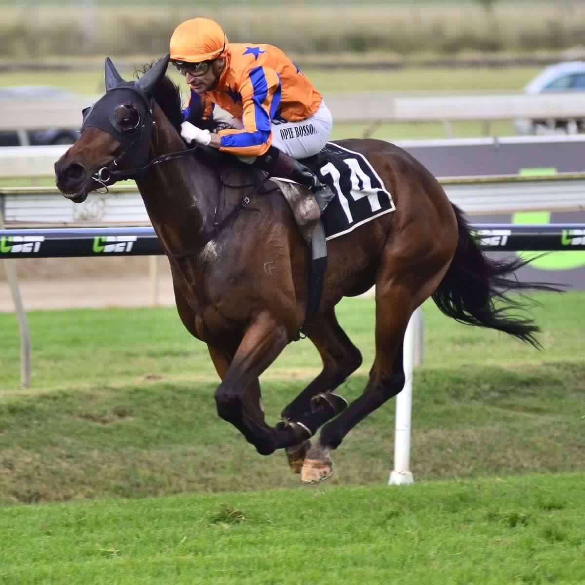 Brisbane Group 3 Glory for Shocking Luck