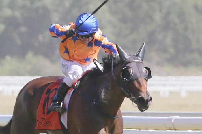 Avondale Guineas the Decider