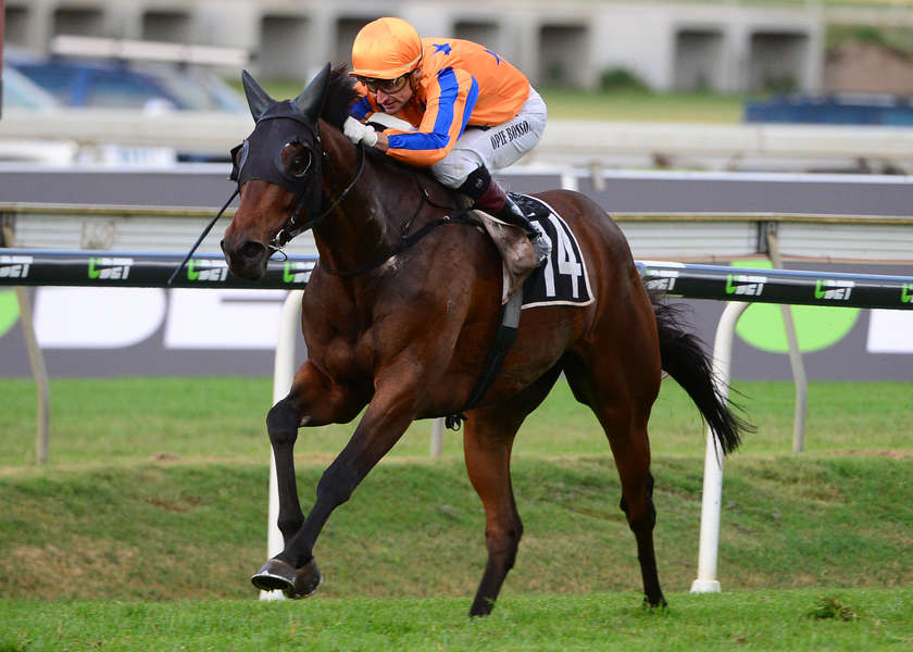 Eagle Farm Challenge for Derby Favourite