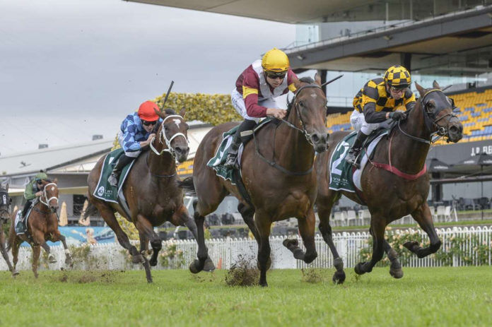 Plans Fluid for Group 1 Winner Probabeel