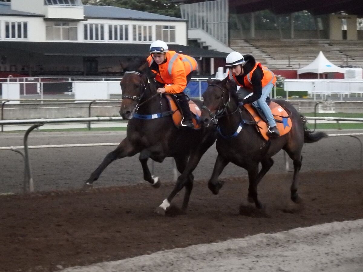 Te Akau Tuesday Trackwork