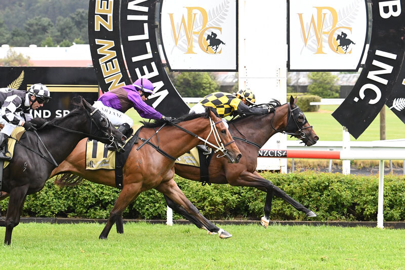 Silver Lake Super at Trentham