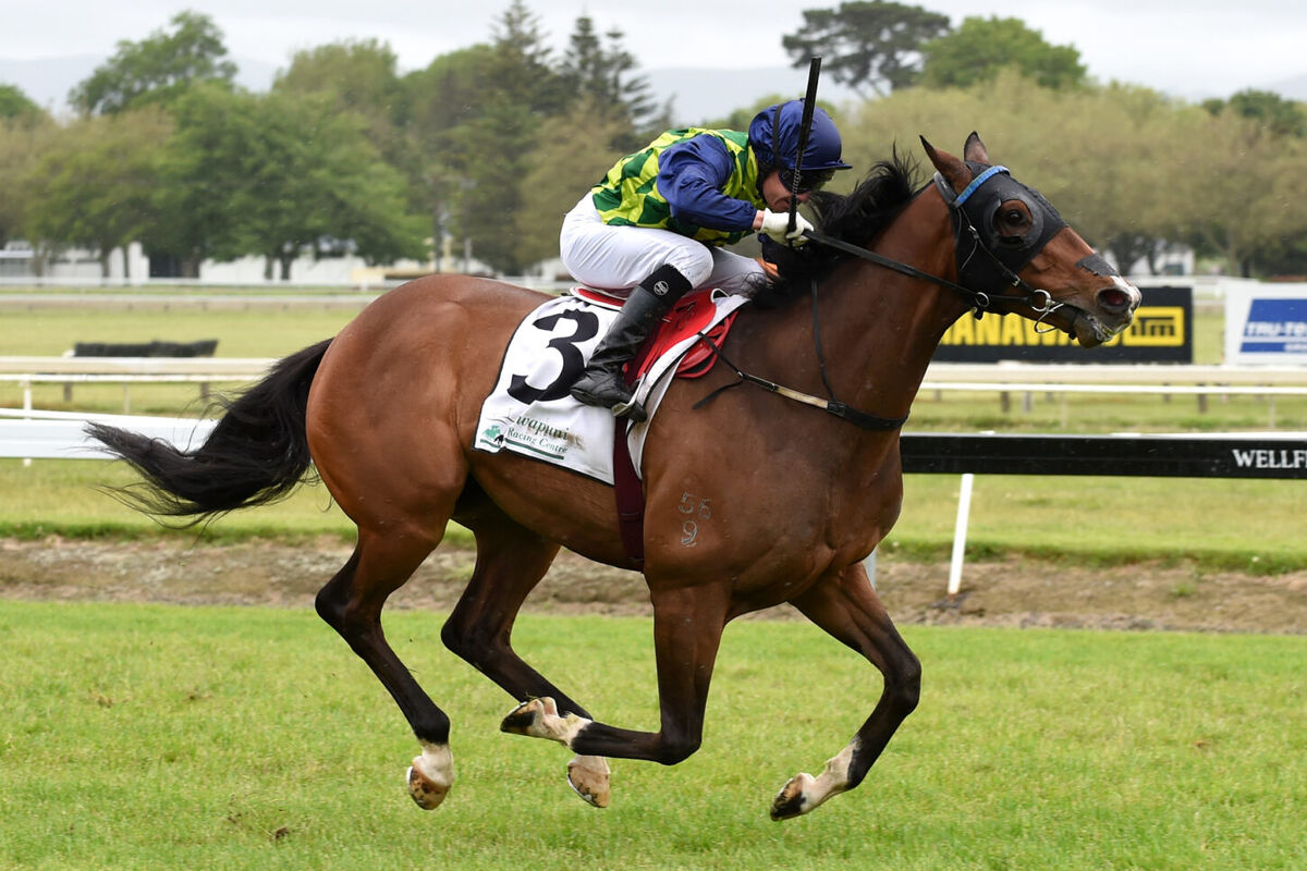 Te Akau Te Rapa Preview
