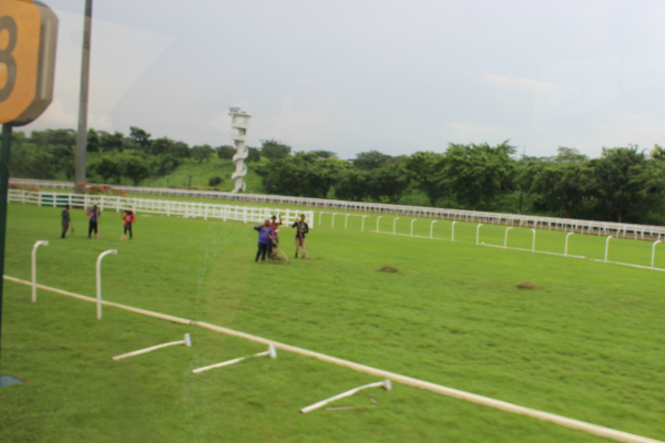 Te Akau Singapore Trackwork Update