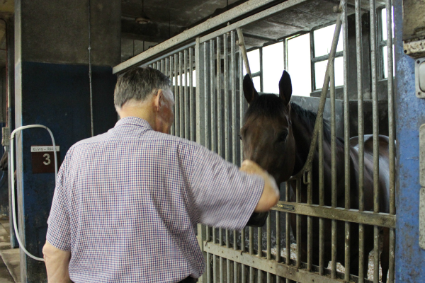 Te Akau Singapore Trackwork Update